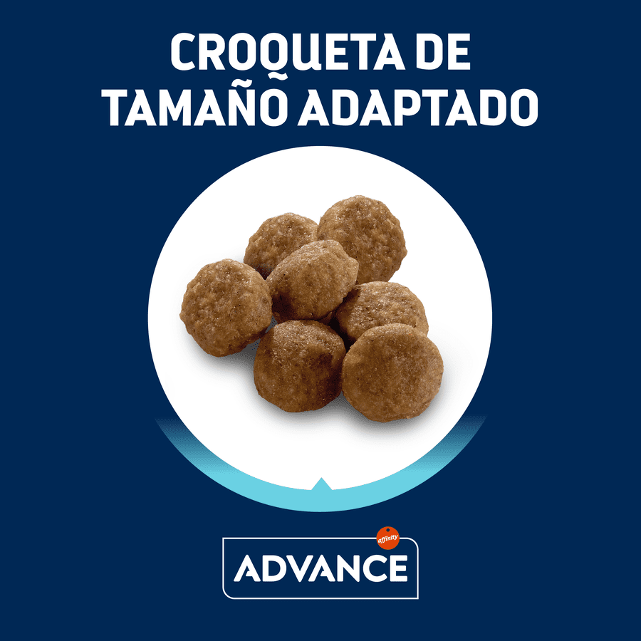 10 kg Advance Pollo y Arroz pienso para gatitos, , large Imagen numero 3
